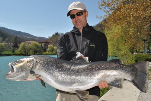 International Fishing News: ITALY: monster marmorata trout caught
